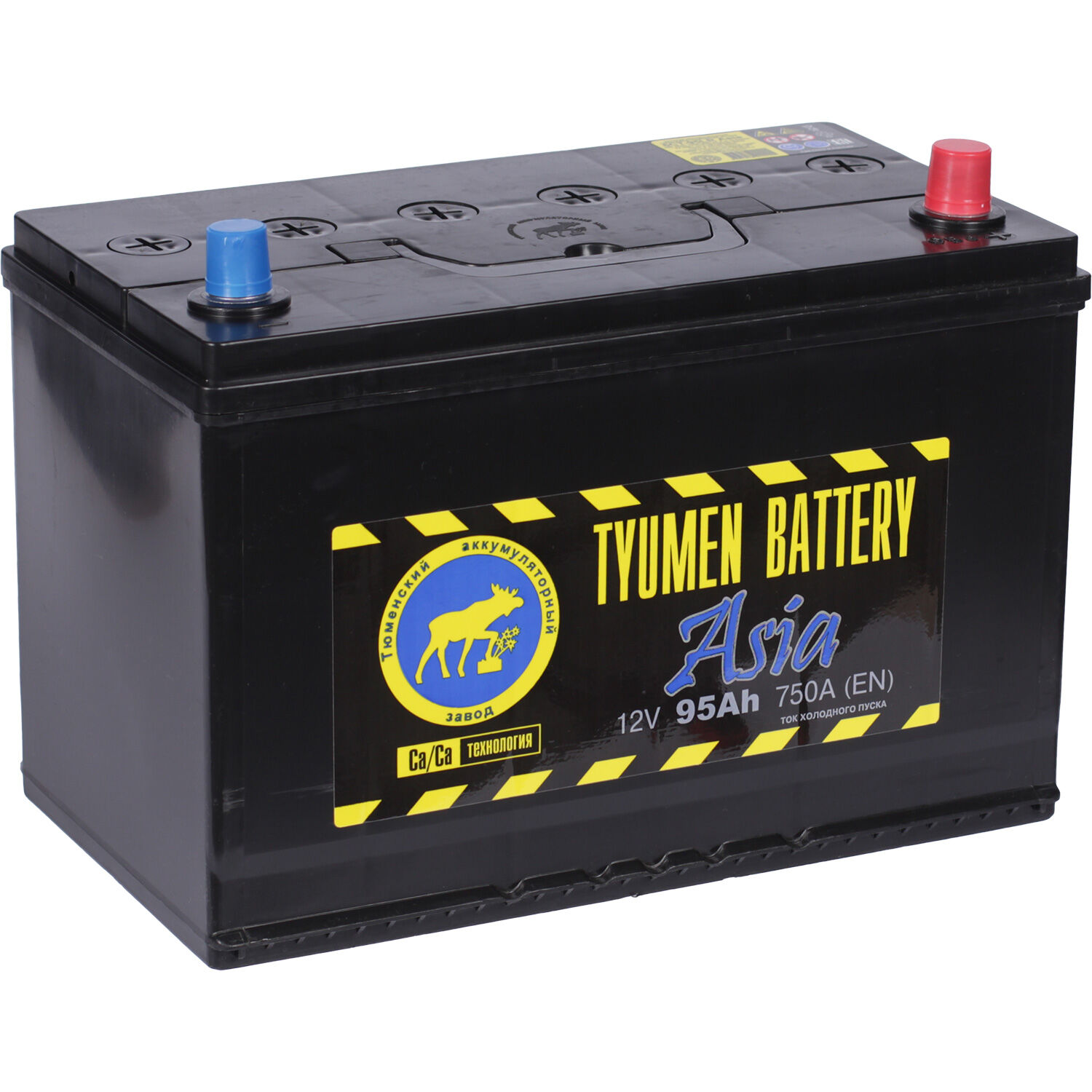 Автомобильный аккумулятор Tyumen Battery 95 Ач обратная полярность D31L