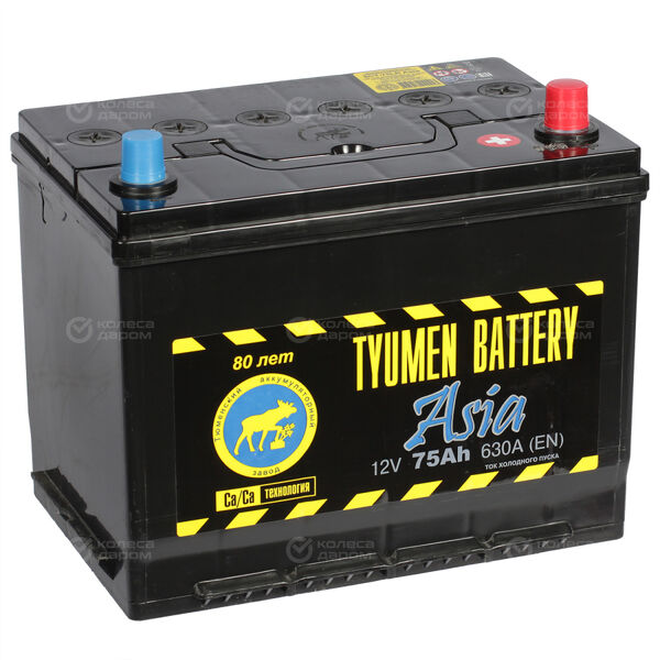 Автомобильный аккумулятор Tyumen Battery Asia 75 Ач обратная полярность D26L в Котласе
