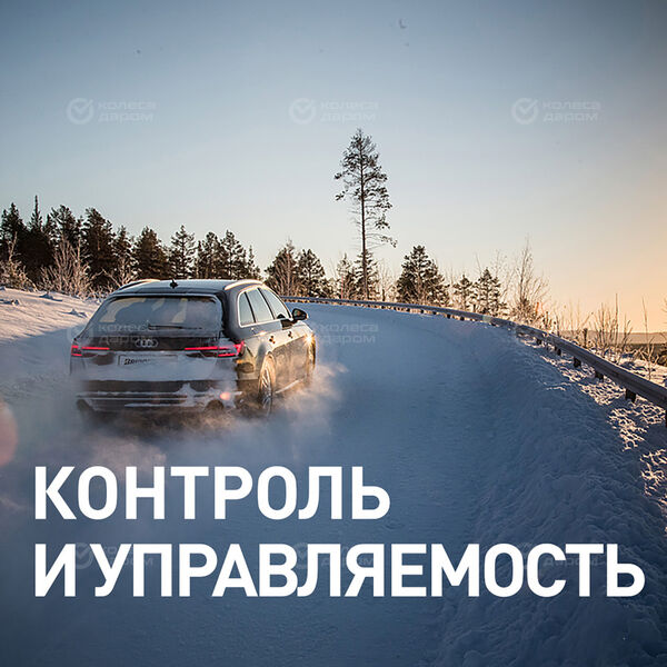 Шина Bridgestone Blizzak DM-V3 265/60 R18 110R в Иркутске
