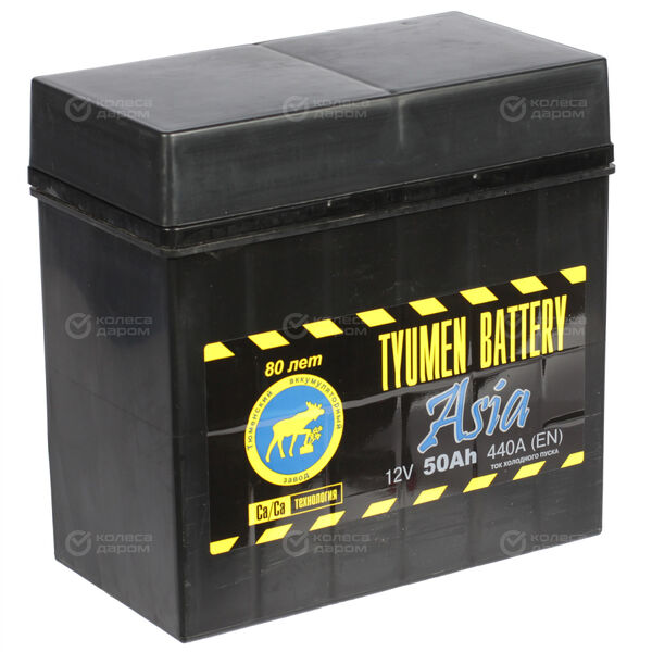 Автомобильный аккумулятор Tyumen Battery Asia 50 Ач обратная полярность B24L в Туймазах