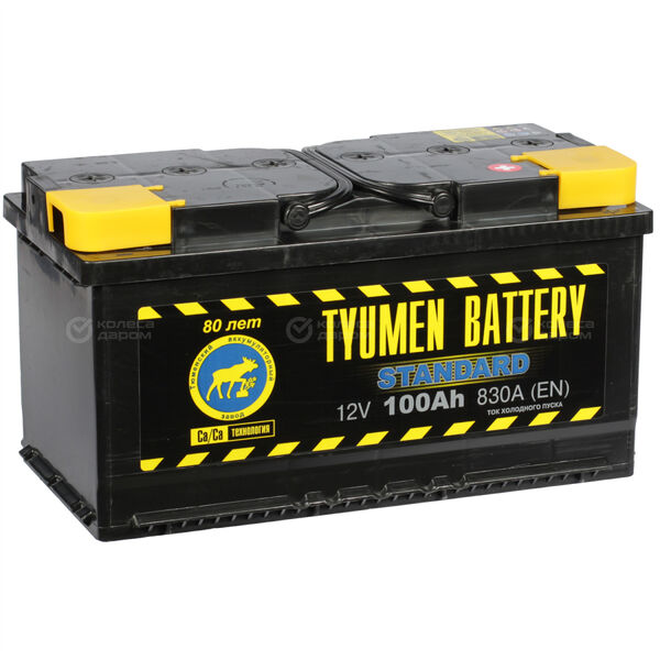 Автомобильный аккумулятор Tyumen Battery Standard 100 Ач обратная полярность L5 в Новочебоксарске