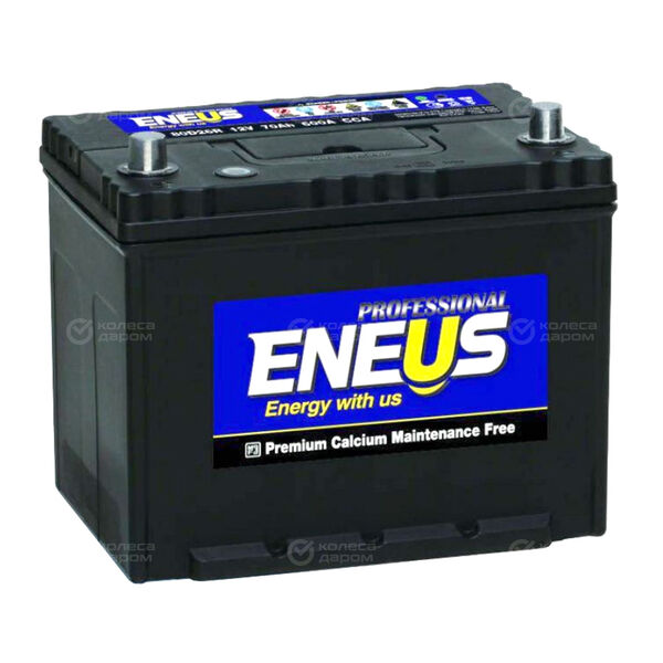 Автомобильный аккумулятор Eneus Professional 100 Ач обратная полярность D31L в Октябрьском