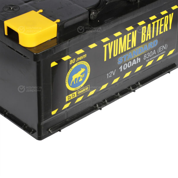 Автомобильный аккумулятор Tyumen Battery Standard 100 Ач обратная полярность L5 в Нефтекамске