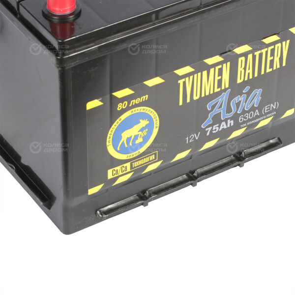 Автомобильный аккумулятор Tyumen Battery Asia 75 Ач прямая полярность D26R в Ирбите