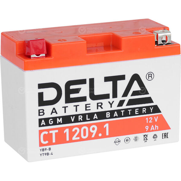 Мотоаккумулятор Delta 1209.1 AGM YT9B-BS 9Ач, прямая полярность в Белебее