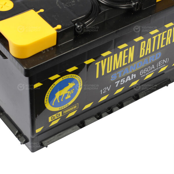 Автомобильный аккумулятор Tyumen Battery Standard 75 Ач прямая полярность L3 в Новосибирске