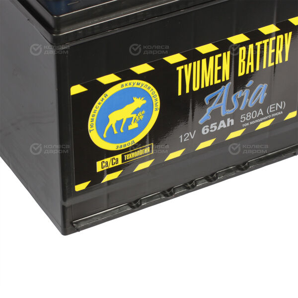 Автомобильный аккумулятор Tyumen Battery Asia 65 Ач обратная полярность D23L в Златоусте