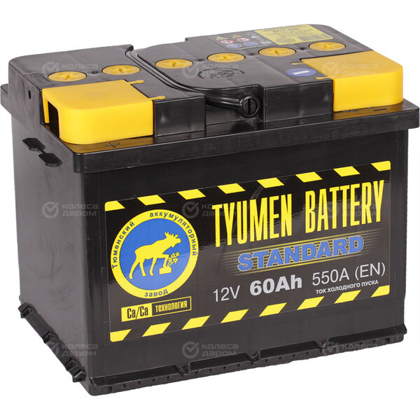 Автомобильный аккумулятор Tyumen Battery Standard 60 Ач прямая полярность L2 в Новокуйбышевске
