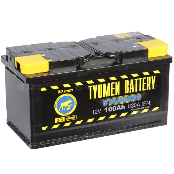Автомобильный аккумулятор Tyumen Battery Standard 100 Ач прямая полярность L5 в Тобольске
