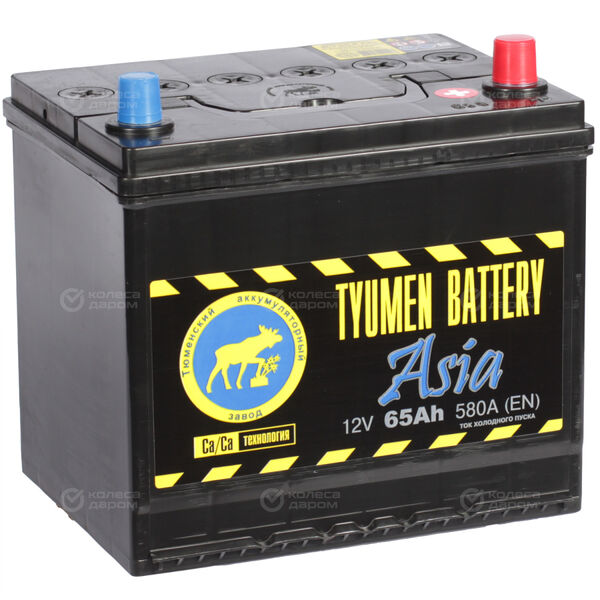 Автомобильный аккумулятор Tyumen Battery Asia 65 Ач обратная полярность D23L в Каменке