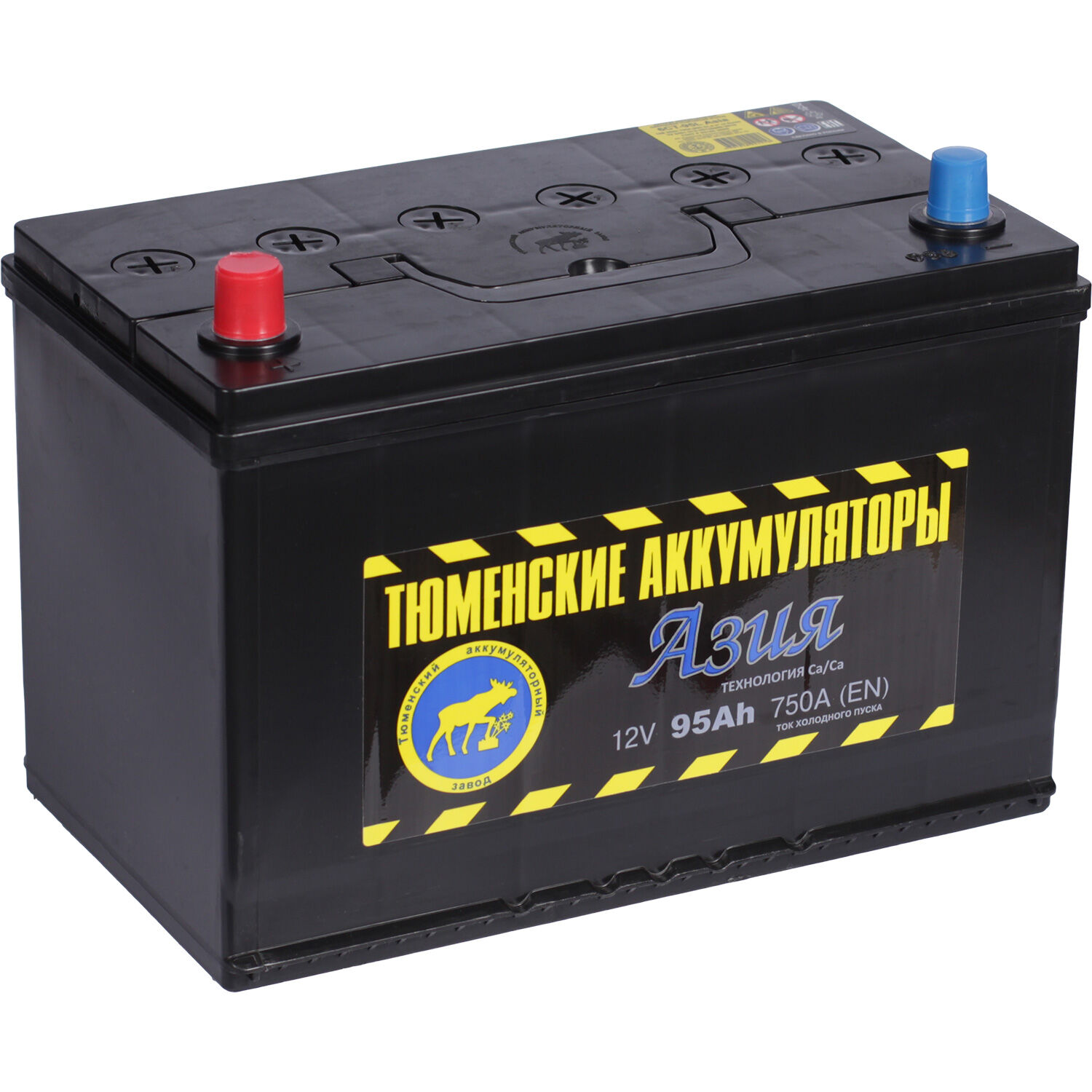 Автомобильный аккумулятор Tyumen Battery 95 Ач прямая полярность D31R