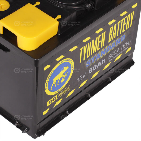 Автомобильный аккумулятор Tyumen Battery Standard 60 Ач обратная полярность L2 в Троицке