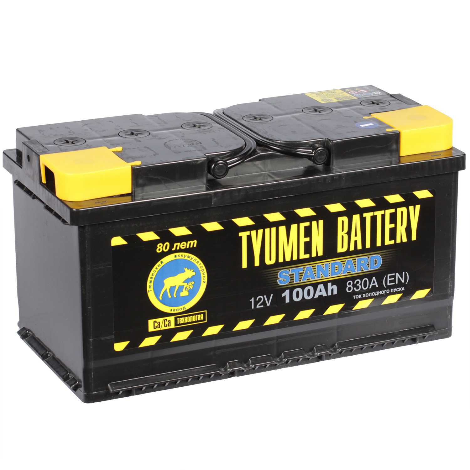 Tyumen Battery Автомобильный аккумулятор Tyumen Battery Standard 100 Ач прямая полярность L5 tyumen battery автомобильный аккумулятор tyumen battery 95 ач прямая полярность d31r
