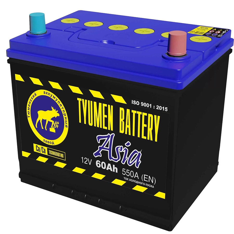 Tyumen Battery Автомобильный аккумулятор Tyumen Battery Asia 60 Ач обратная полярность D23L