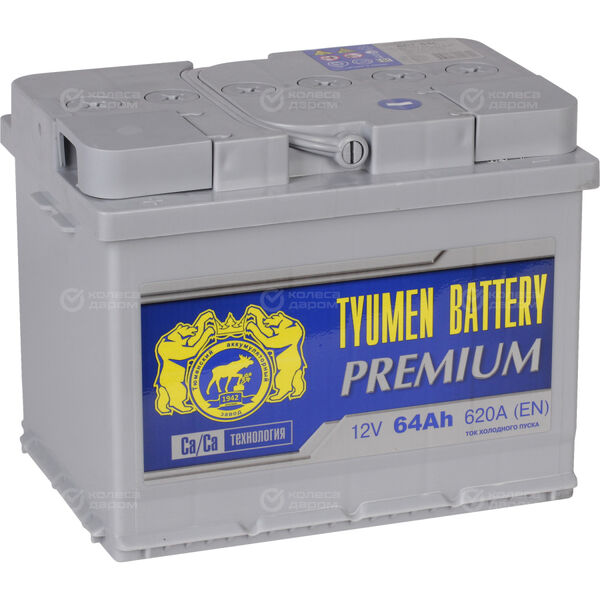 Автомобильный аккумулятор Tyumen Battery Premium 64 Ач прямая полярность L2 в Екатеринбурге