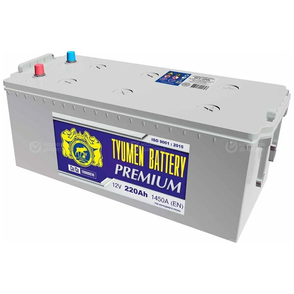 Грузовой аккумулятор Tyumen Battery Premium 220Ач п/п конус в Златоусте