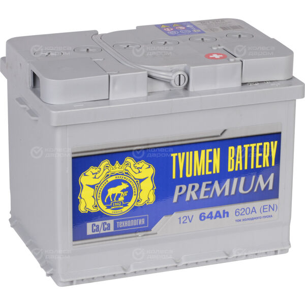 Автомобильный аккумулятор Tyumen Battery Premium 64 Ач обратная полярность L2 в Кузнецке