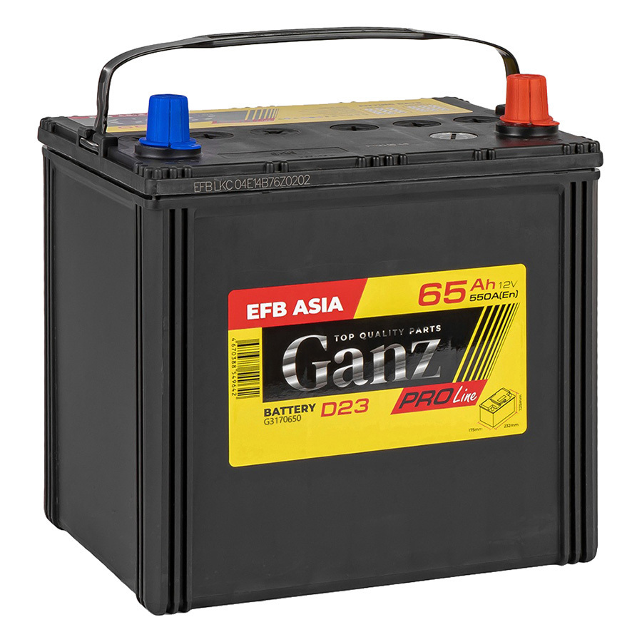 Автомобильный аккумулятор GANZ Asia PRO-Line 65 Ач обратная полярность D23L
