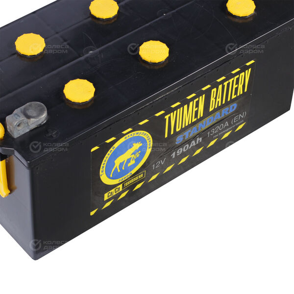 Грузовой аккумулятор Tyumen Battery Standard 190Ач п/п вывод под болт в Похвистнево