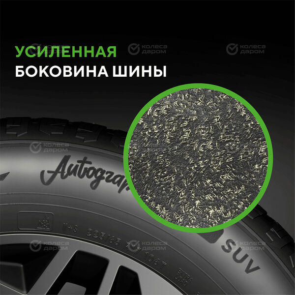 Шина Ikon (Nokian Tyres) Autograph Ice 9 SUV 265/65 R17 116T в Красноуфимске