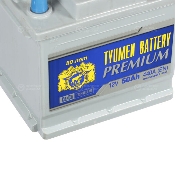 Автомобильный аккумулятор Tyumen Battery Premium 50 Ач обратная полярность L1 в Таганроге
