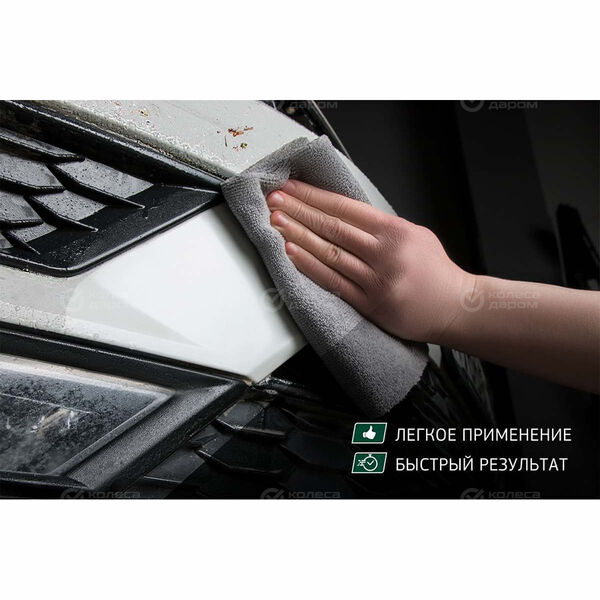 Очиститель кузова автомобиля от тополиных почек и следов насекомых Fortex, (FC.1104) в Калуге