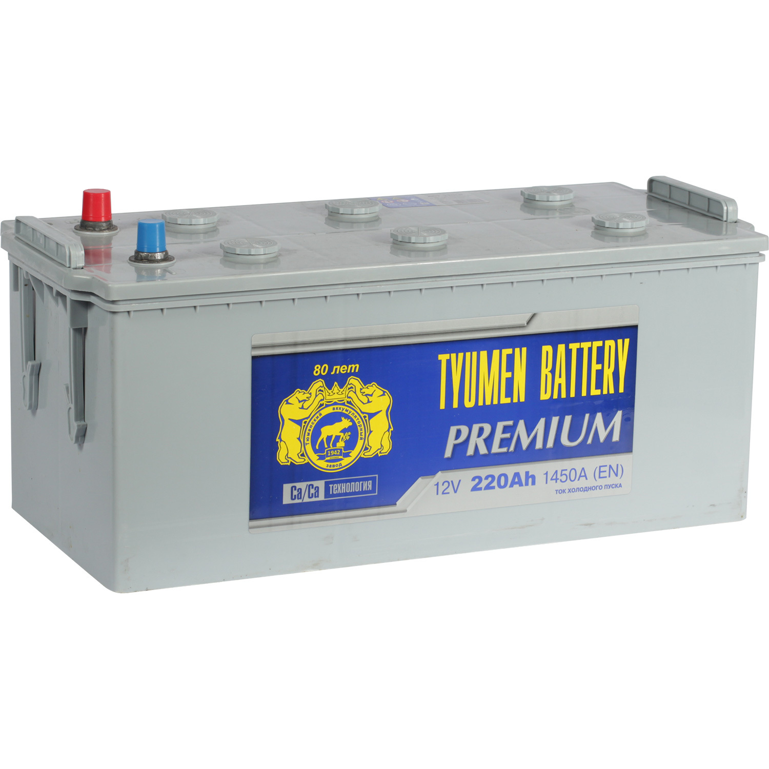 Tyumen Battery Грузовой аккумулятор Tyumen Battery Premium 220Ач о/п конус