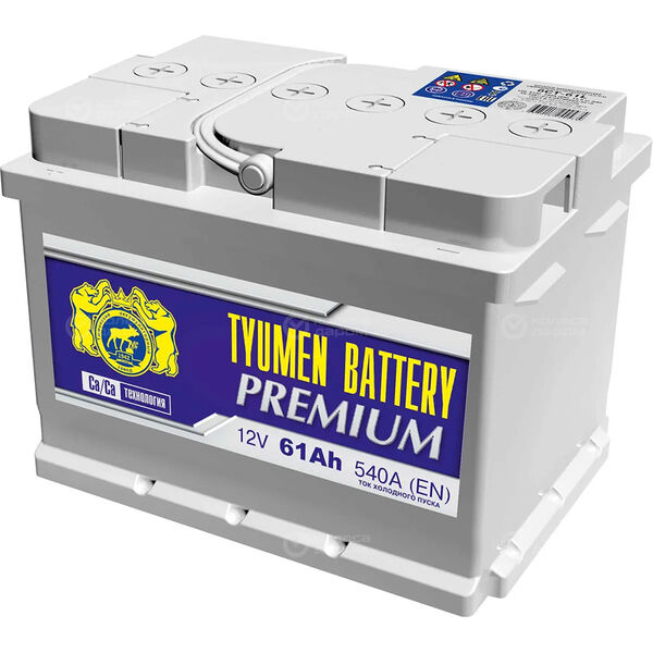 Автомобильный аккумулятор Tyumen Battery Premium 61 Ач обратная полярность LB2 в Кургане