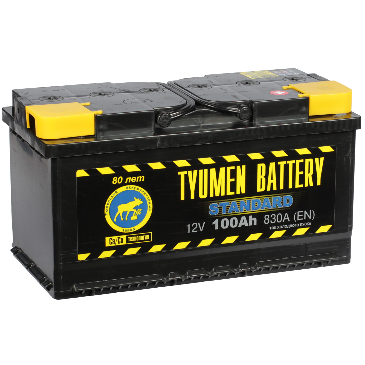 Tyumen Battery Автомобильный аккумулятор Tyumen Battery Standard 100 Ач обратная полярность L5 tyumen battery автомобильный аккумулятор tyumen battery premium 50 ач обратная полярность l1