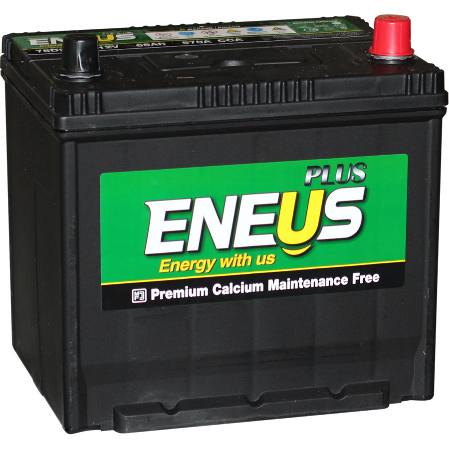 цена Eneus Автомобильный аккумулятор Eneus Plus 65 Ач обратная полярность D23L
