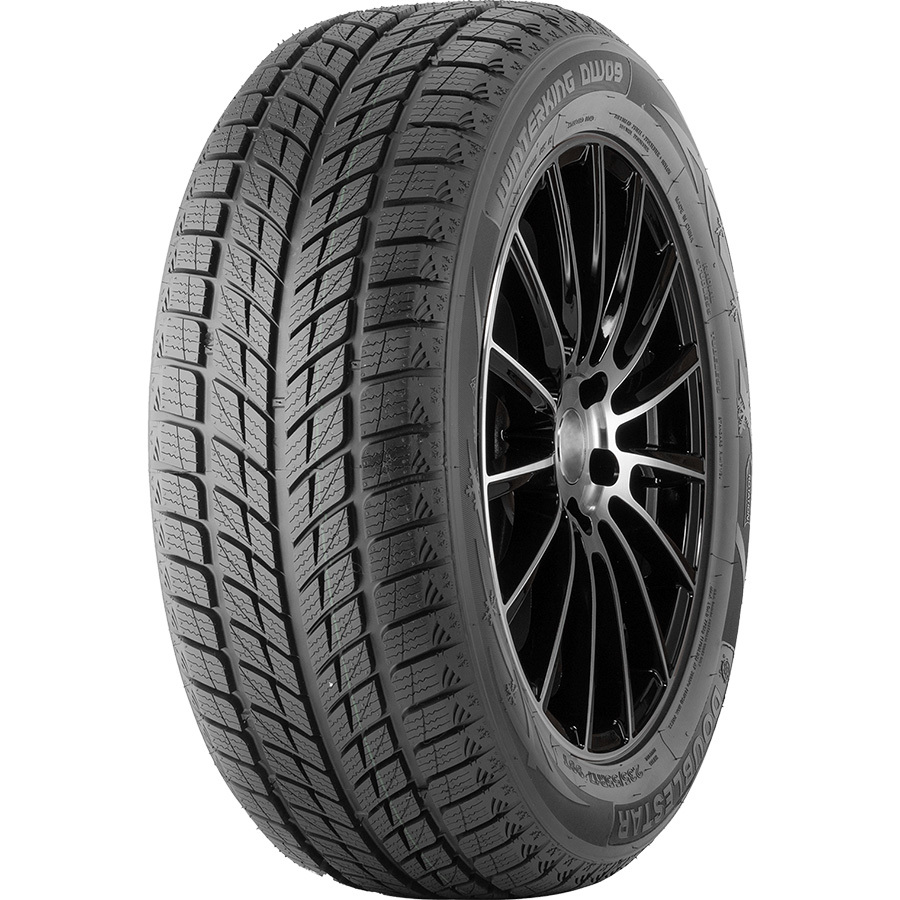 DW09 235/55 R20 102H Без шипов