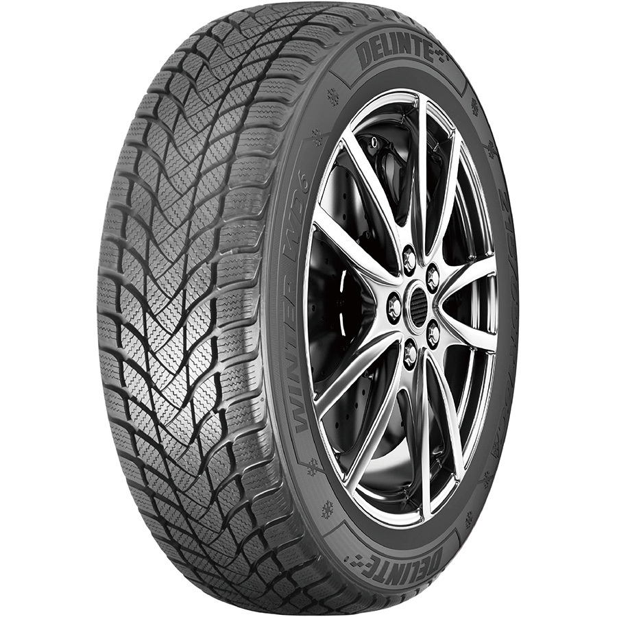 Delinte Winter WD6