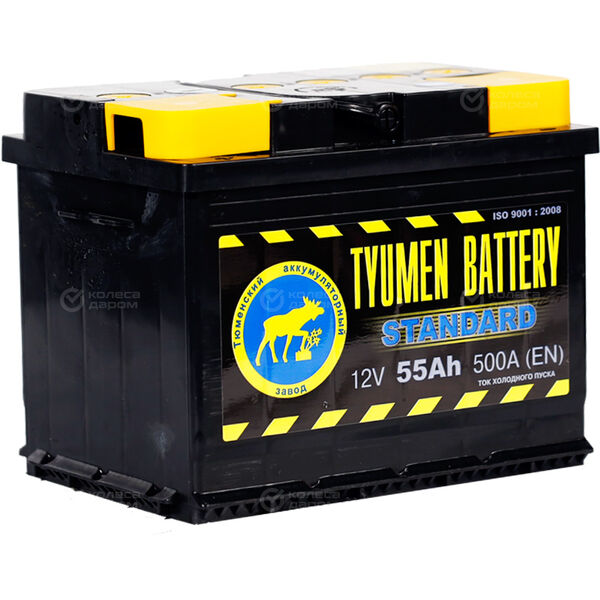 Автомобильный аккумулятор Tyumen Battery Standard 55 Ач обратная полярность L2 в Сибае