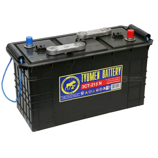 Грузовой аккумулятор Tyumen Battery Standard 215Ач п/п конус сухозаряженная в Сургуте