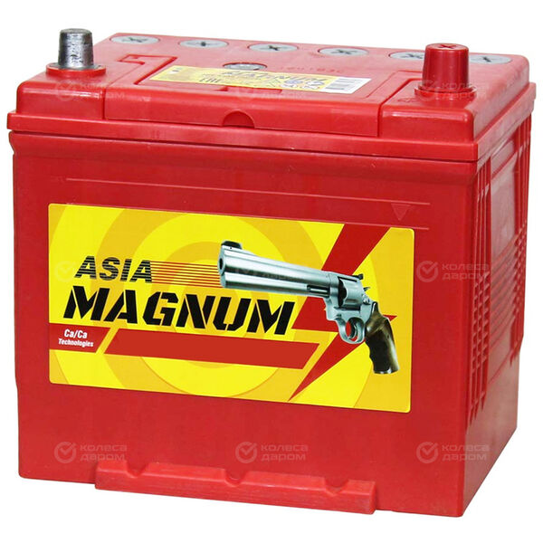 Автомобильный аккумулятор Magnum Asia 75 Ач обратная полярность D26L в Янауле