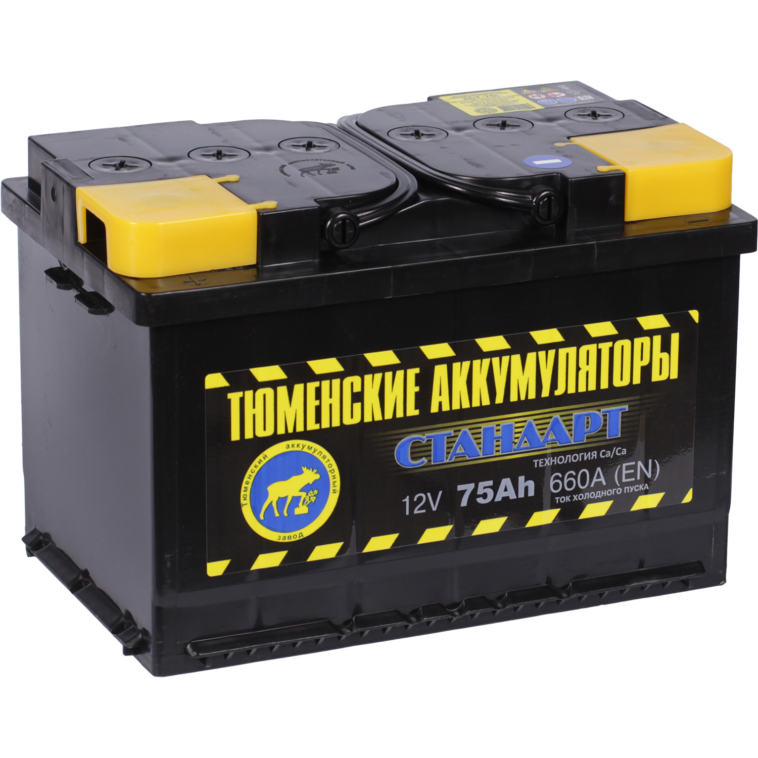 Tyumen Battery Автомобильный аккумулятор Tyumen Battery Standard 75 Ач прямая полярность L3