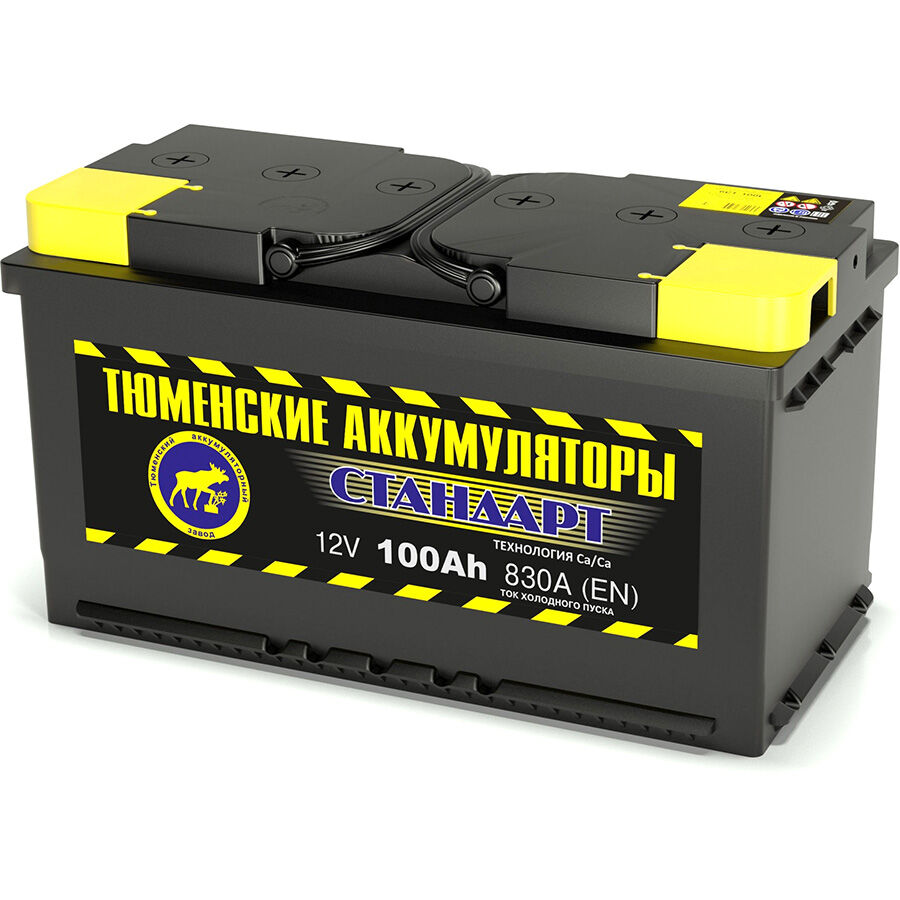 Автомобильный аккумулятор Tyumen Battery Standard 100 Ач обратная полярность L5