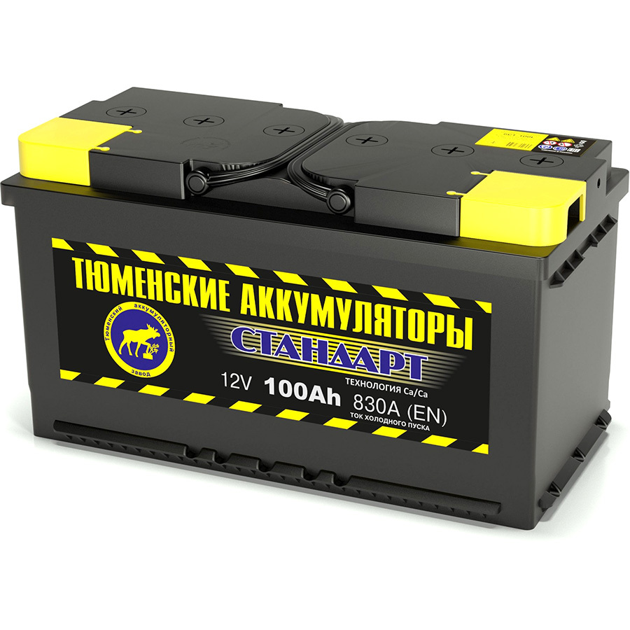 Tyumen Battery Автомобильный аккумулятор Tyumen Battery Standard 100 Ач обратная полярность L5