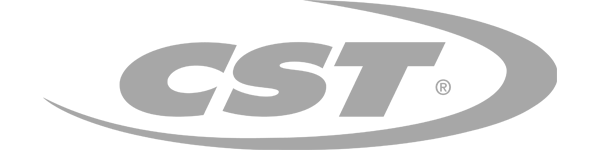 Мотошина CST C922 90/90 -10 50J TL