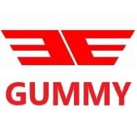 Мотошина Gummy ZS-030D 90/90 -10 58L TT