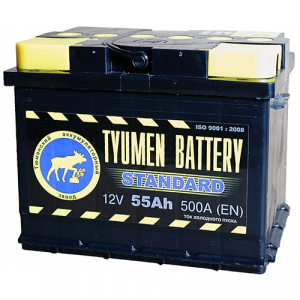 Автомобильный аккумулятор Tyumen Battery Standard 55 Ач прямая полярность L2