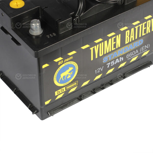 Автомобильный аккумулятор Tyumen Battery Standard 75 Ач обратная полярность L3 в Троицке